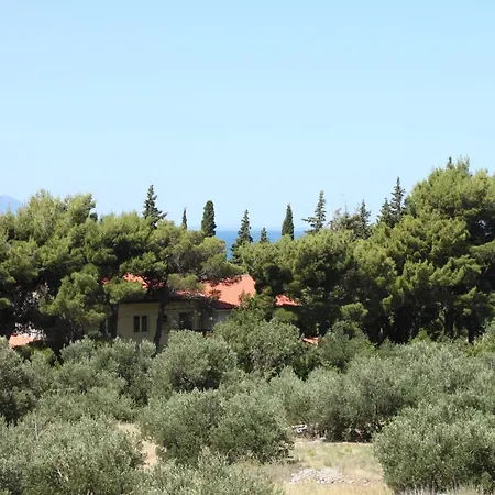 Apartamento With A Parking Space Gradac, Makarska - 6881 Gradac (Split-Dalmatia)