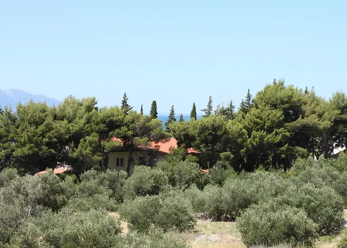 Appartamento With A Parking Space Gradac, Makarska - 6881 Gradac (Split-Dalmatia)