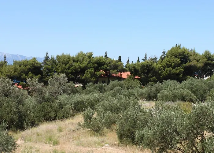 With A Parking Space Gradac, Makarska - 6881 Appartamento